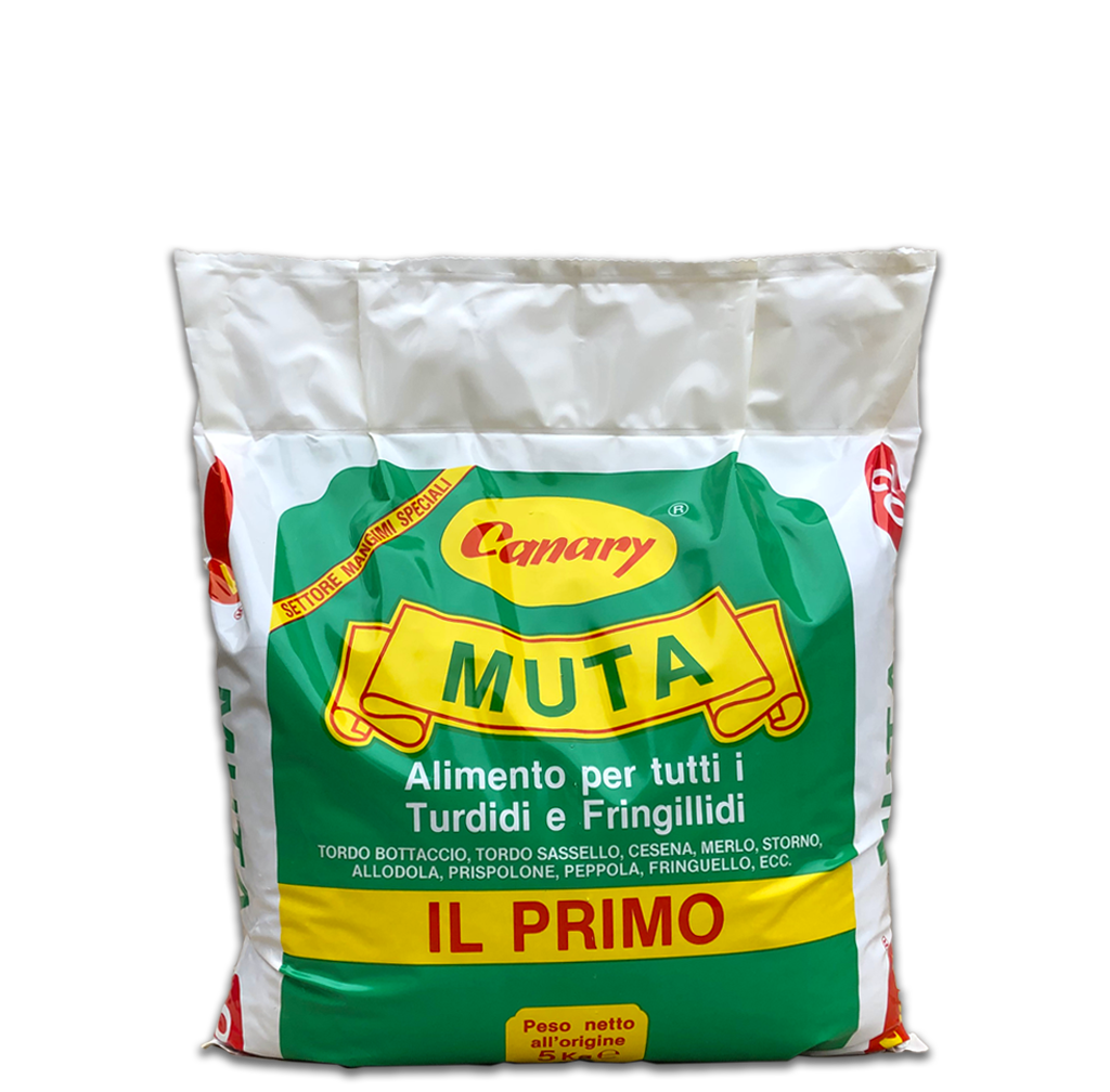 MUTA - il primo