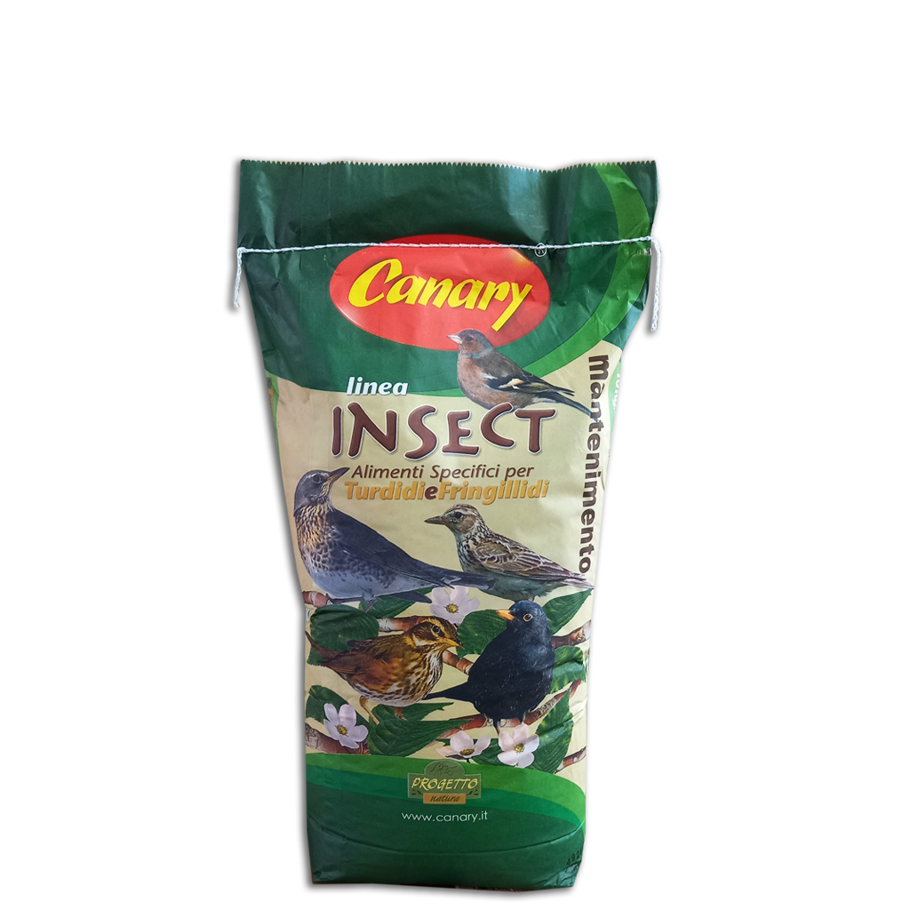 PLUS INSETTI - MANTENIMENTO - immagine 2