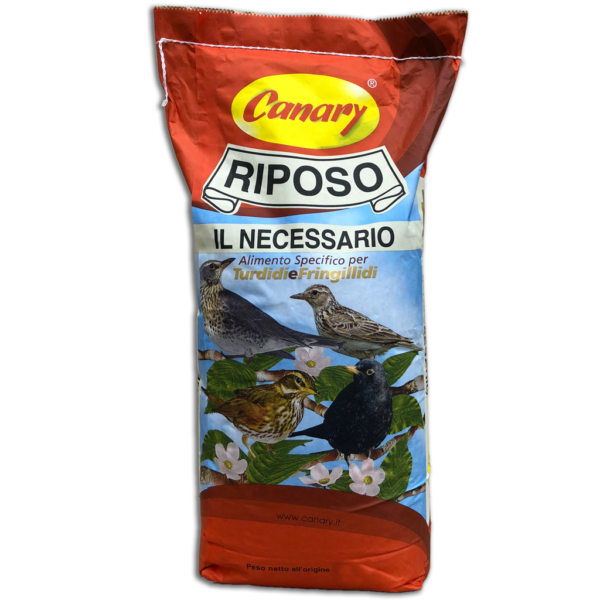 RIPOSO - il necessario