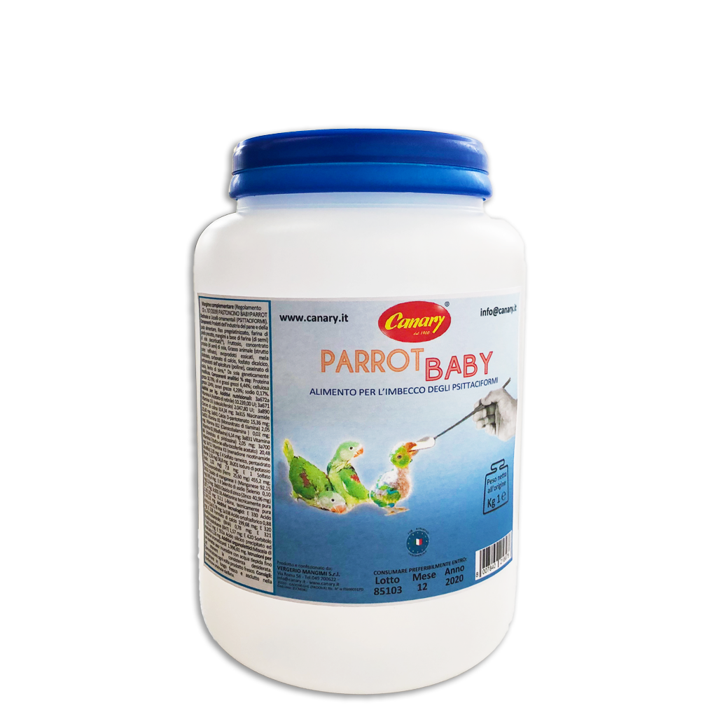 PARROT'S BABY - da imbecco