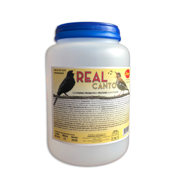 REALCANTO - high performance