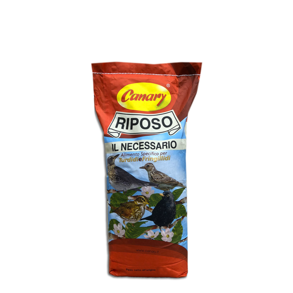 RIPOSO - il necessario - immagine 3