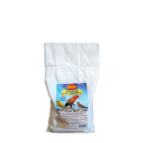 SCAGLIE DI MARE - conchiglie calcaree