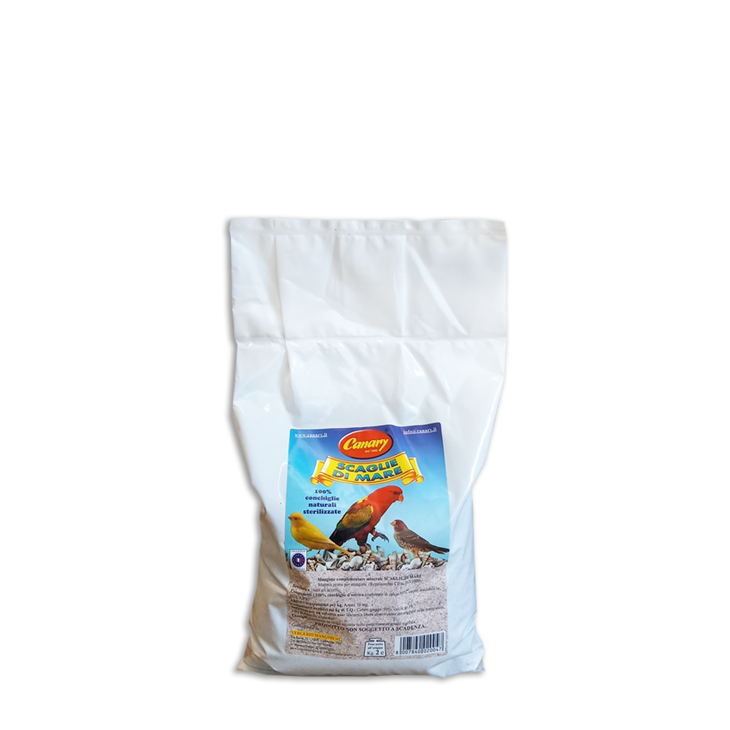SCAGLIE DI MARE - conchiglie calcaree