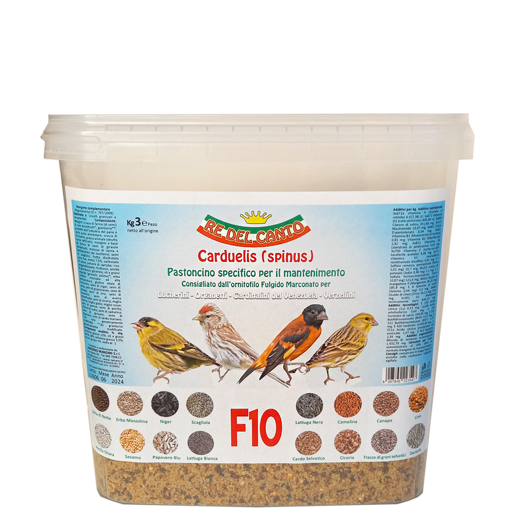 F10 - paté spinus mantenimento