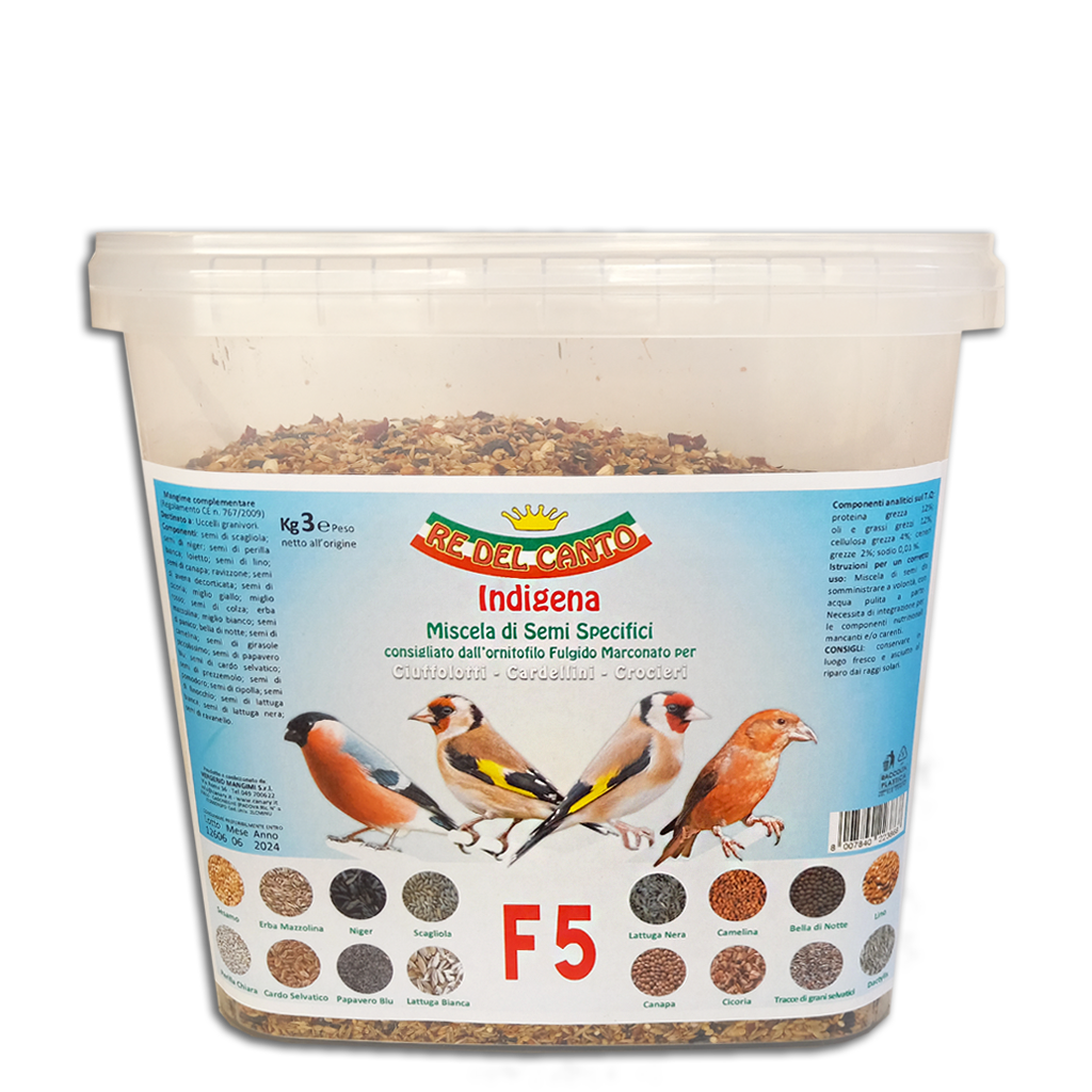 F5 - mix spinus indigena