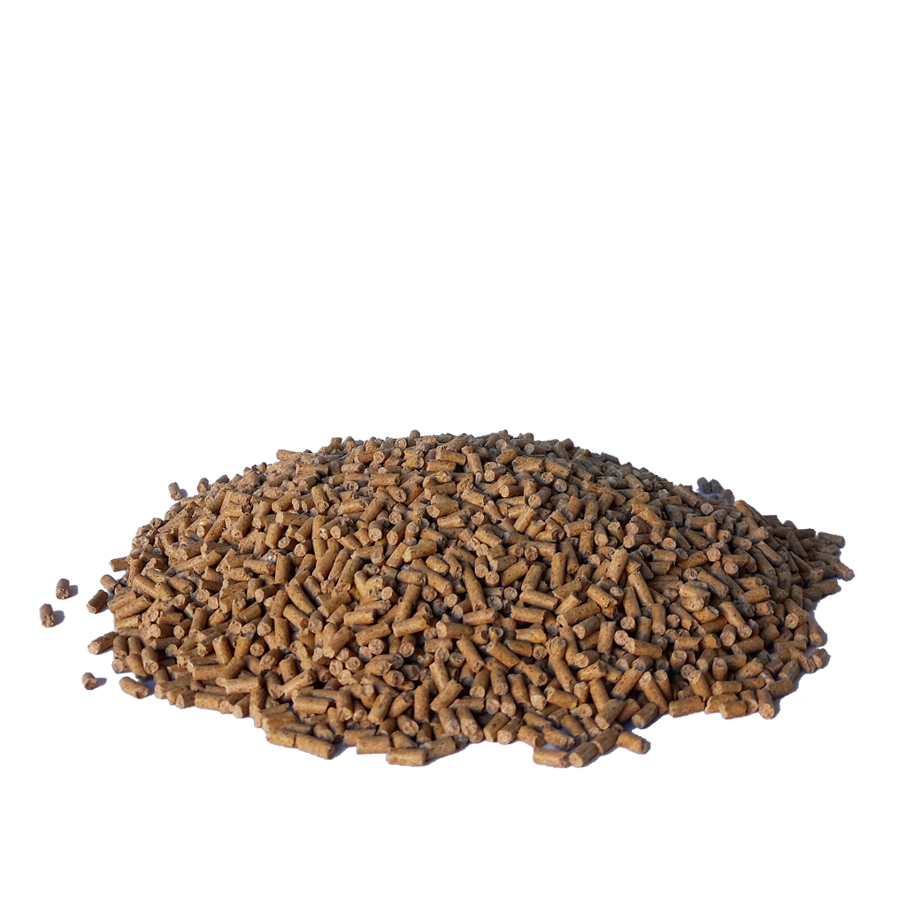 11 AVICOLI E SELVAGGINA - pellet 2° periodo - immagine 3