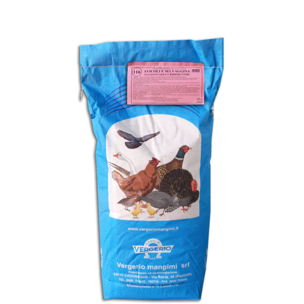 116  AVICOLI RIPRODUZIONE - nucleo galline ovaiole