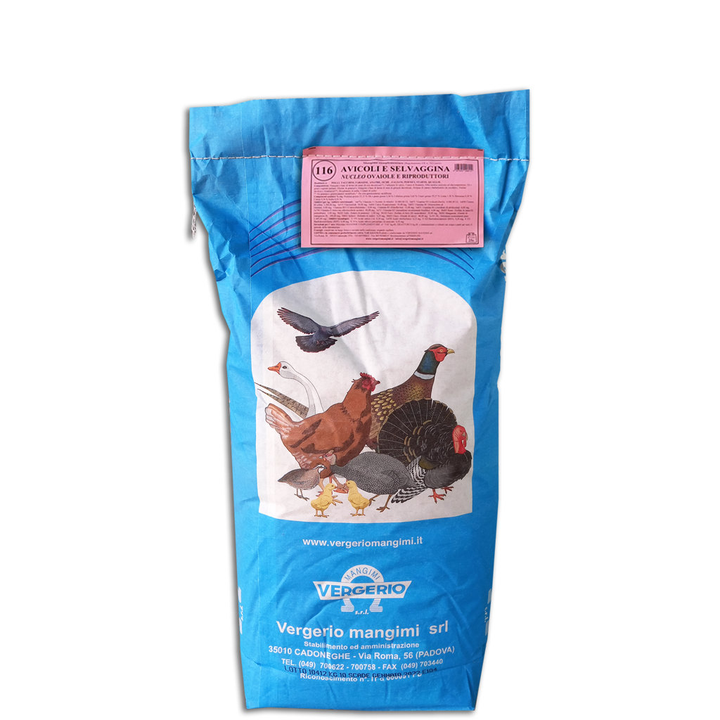 116 AVICOLI RIPRODUZIONE - nucleo galline ovaiole