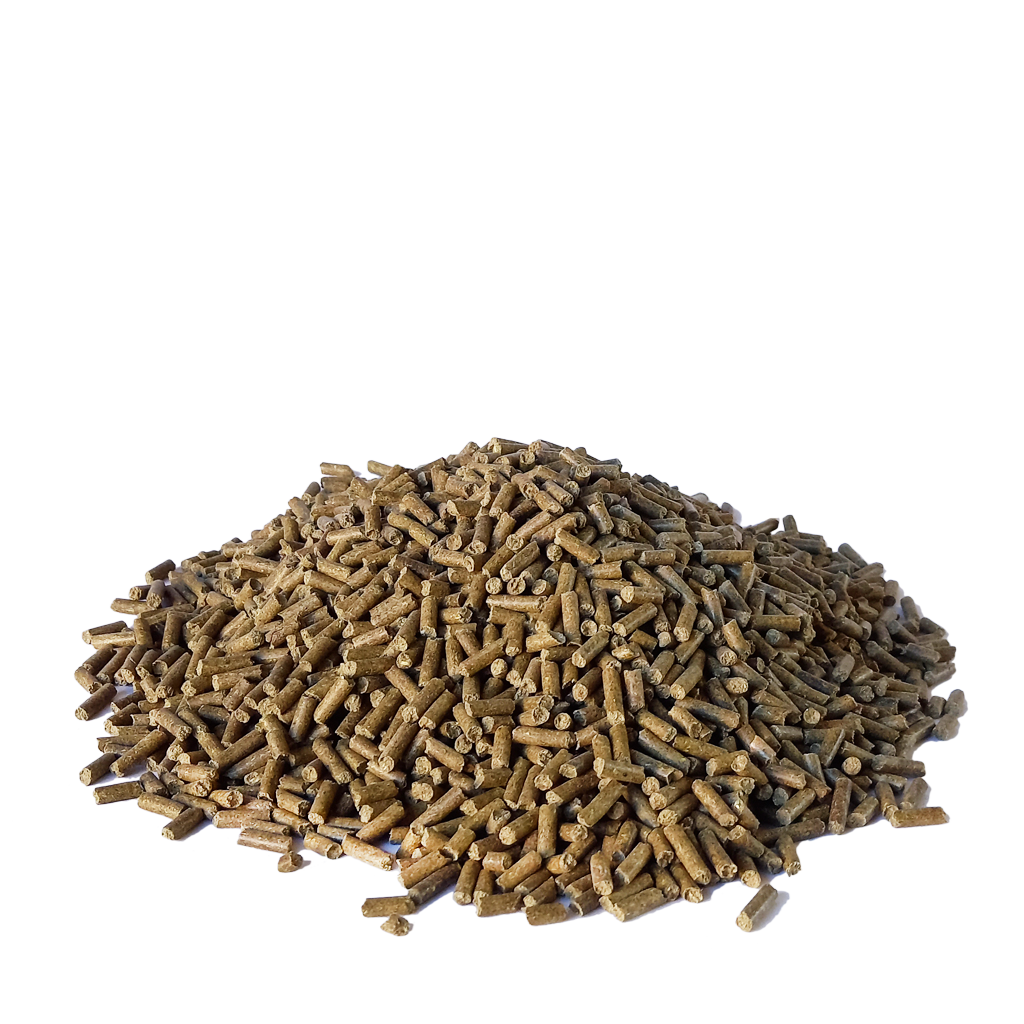 55 CONIGLI - ingrasso/riproduzione pellet - immagine 2