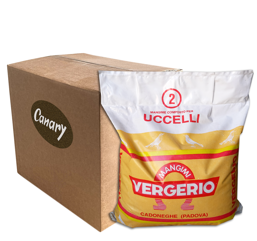 2 UCCELLI - immagine 2