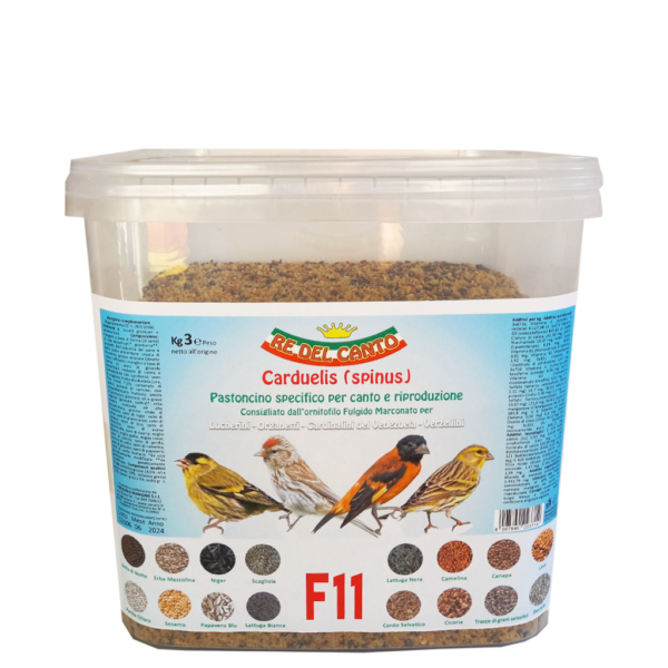 F11 - paté spinus canto e riproduzione