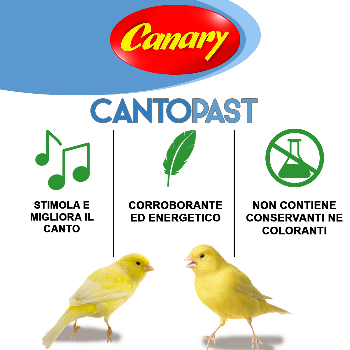 CANTOPAST - immagine 4