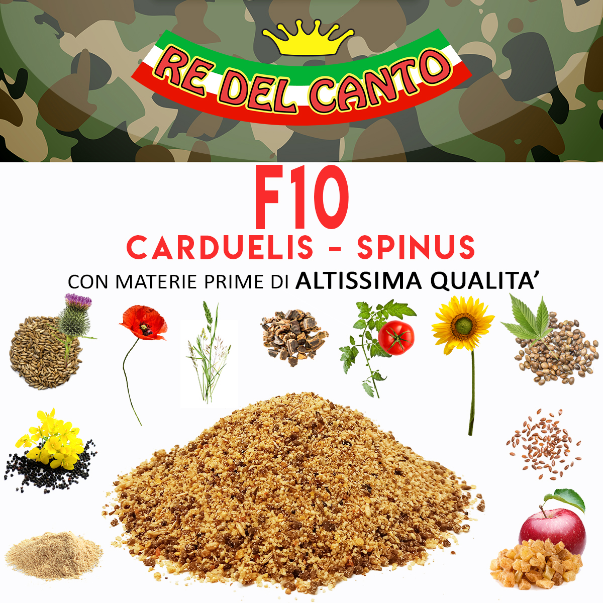 F10 - paté spinus mantenimento - immagine 5