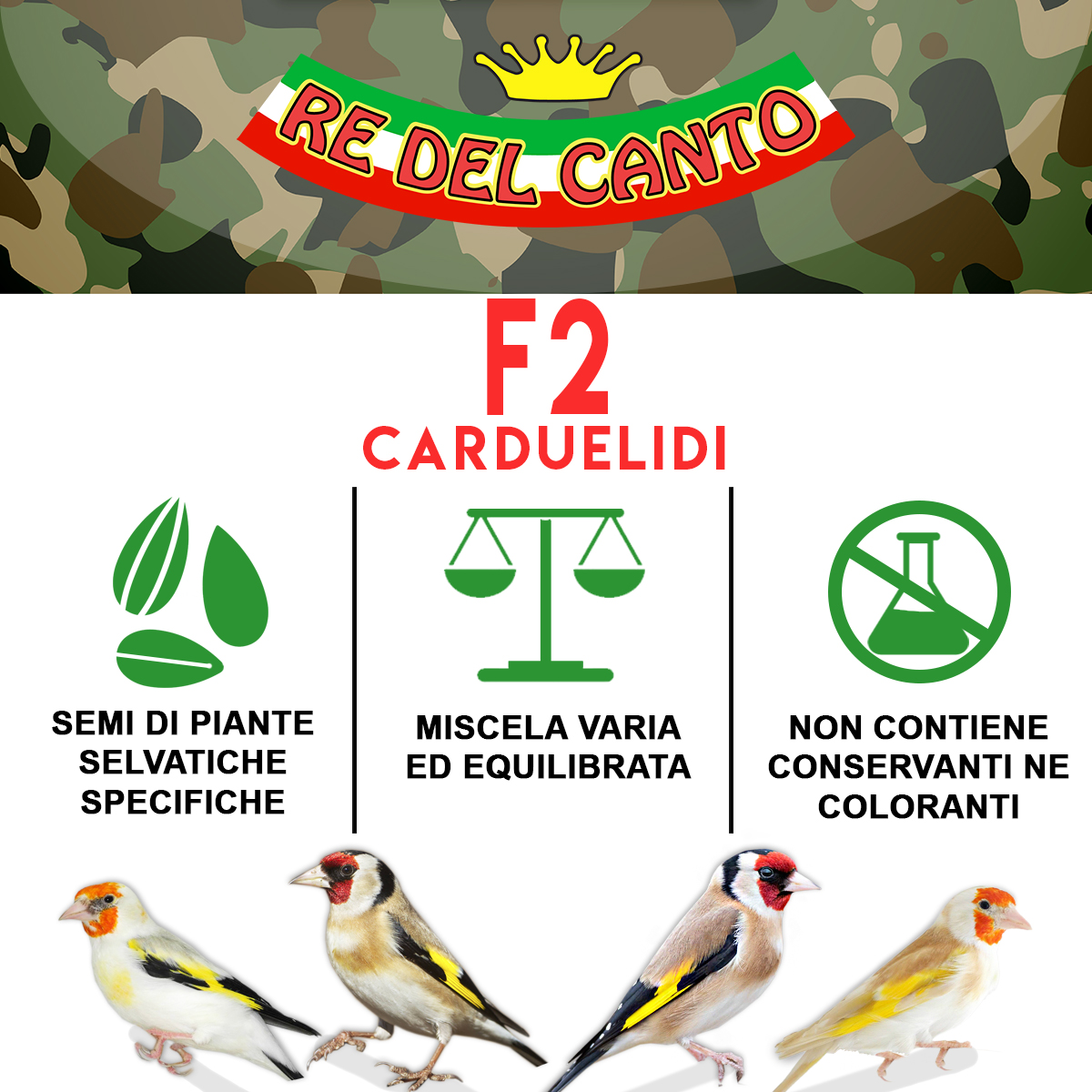 F2 - mix spinus carduelidi - immagine 4