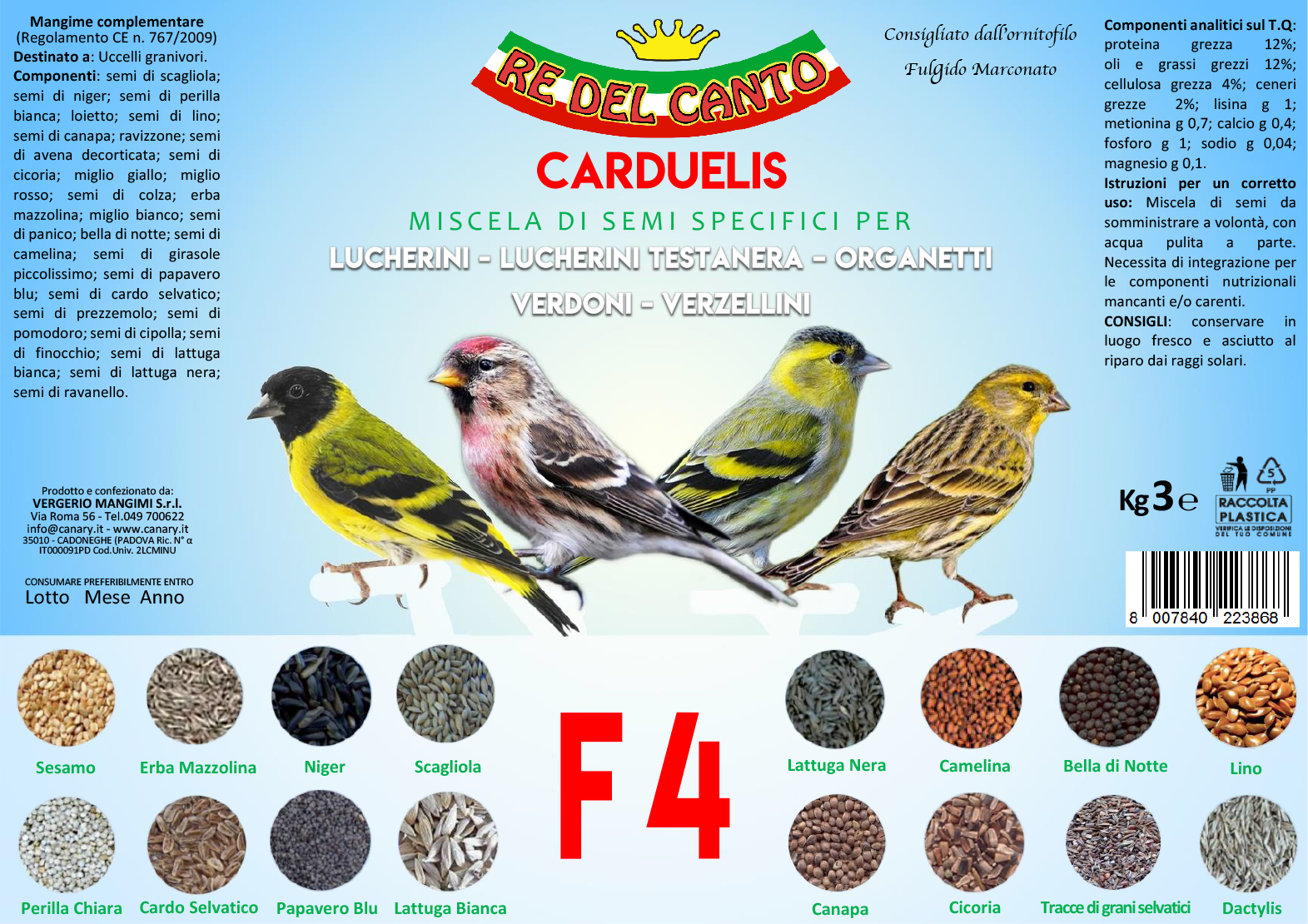 F4 - mix spinus carduelis - immagine 3