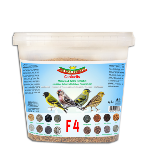 F4 - mix spinus carduelis