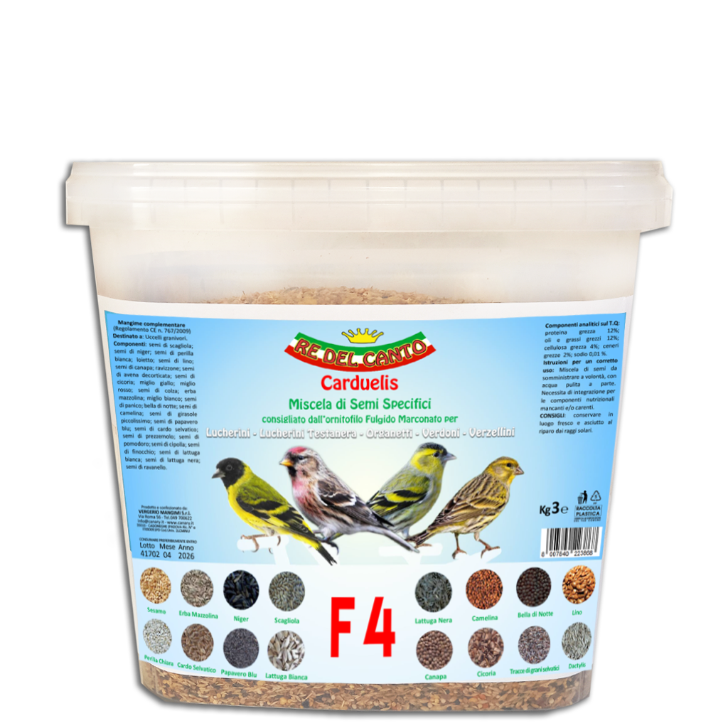 F4 - mix spinus carduelis