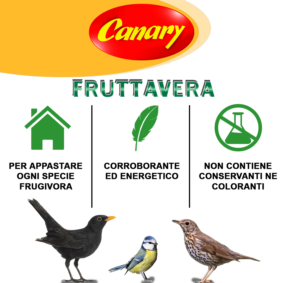 FRUTTAVERA - immagine 5