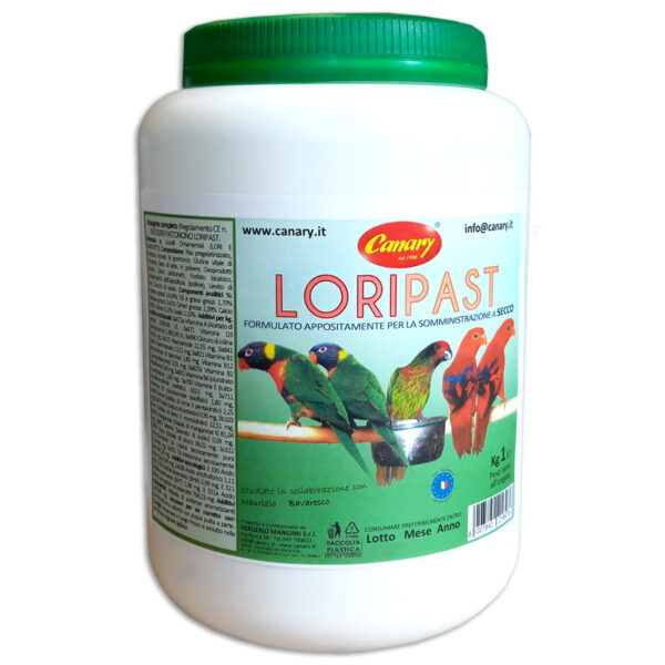 LORIPAST - a secco
