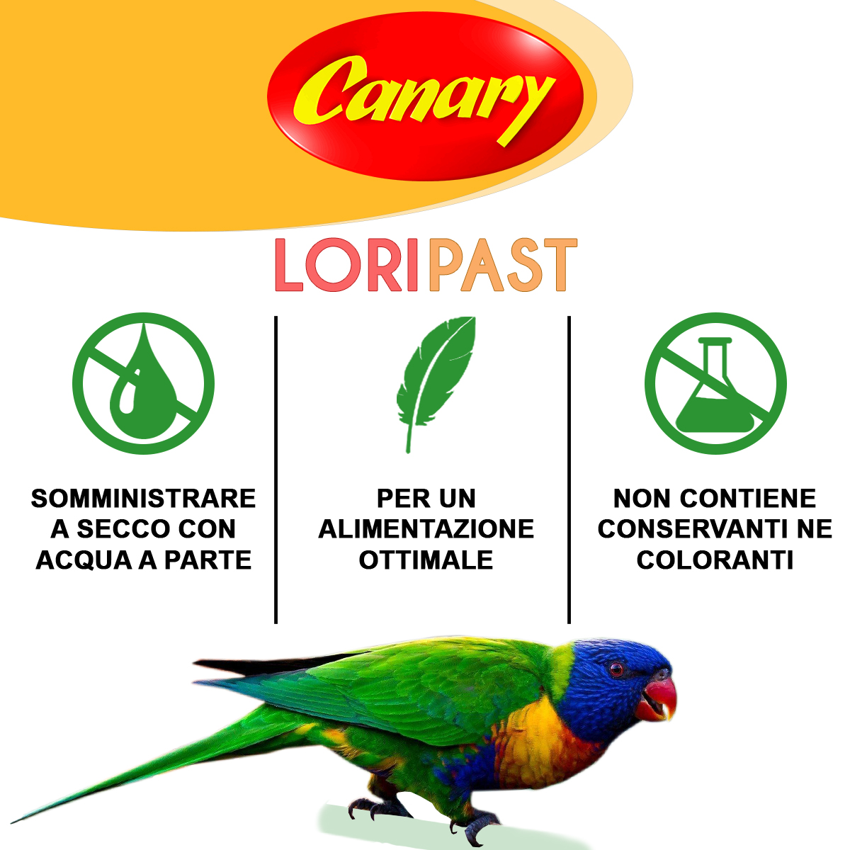 LORIPAST - a secco - immagine 4