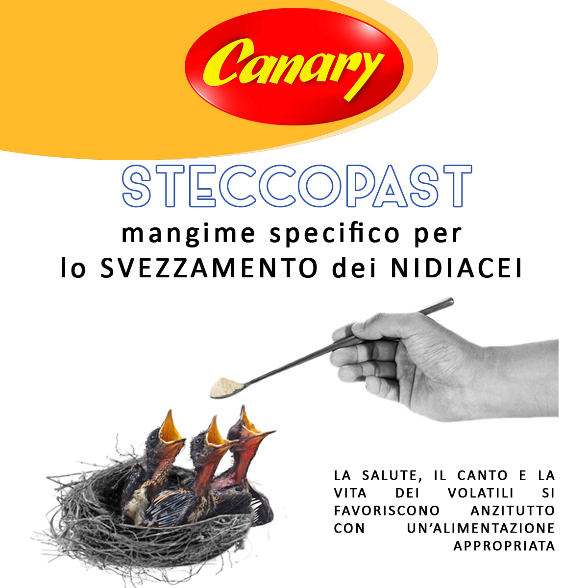 STECCOPAST - da imbecco - Image 5