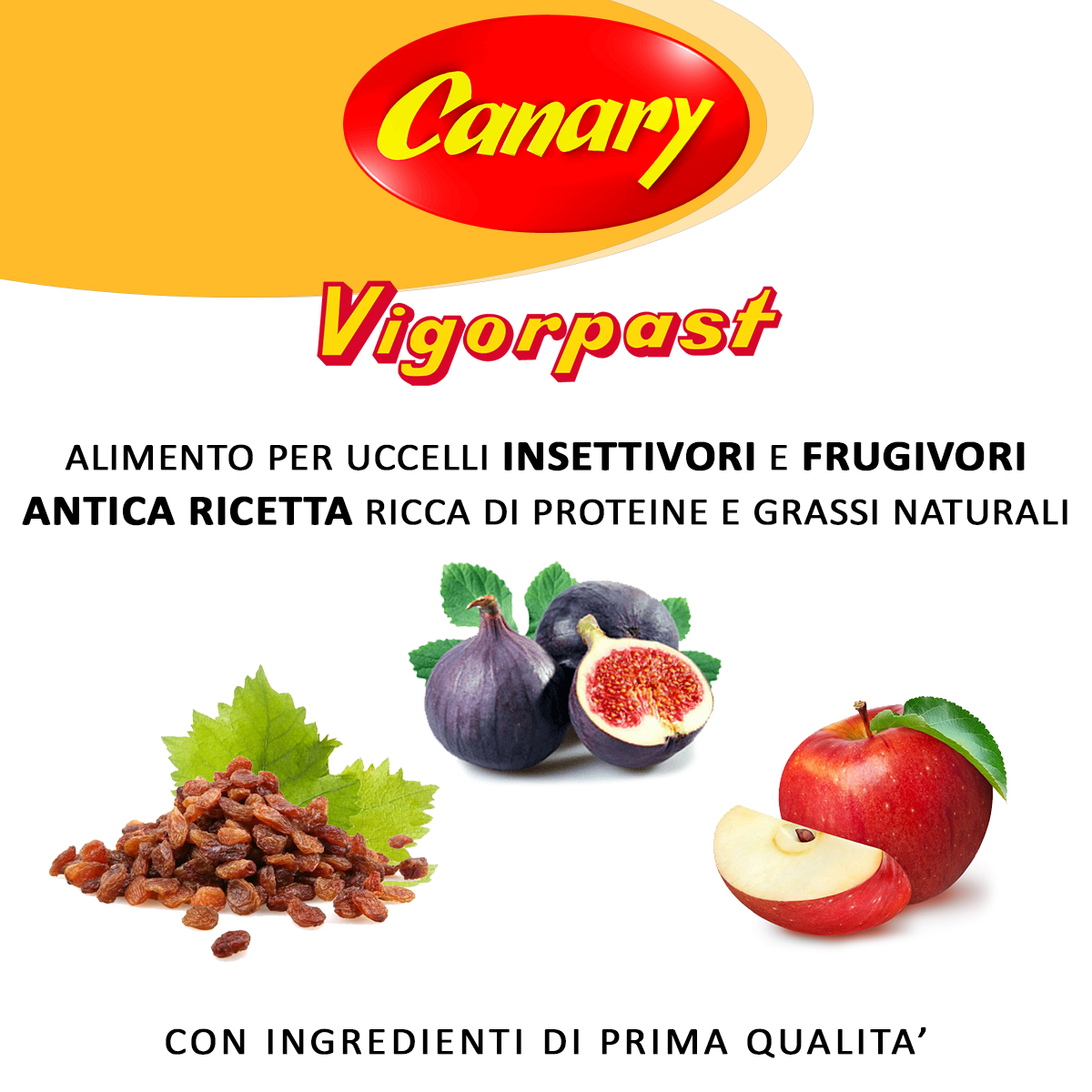 VIGORPAST - immagine 4
