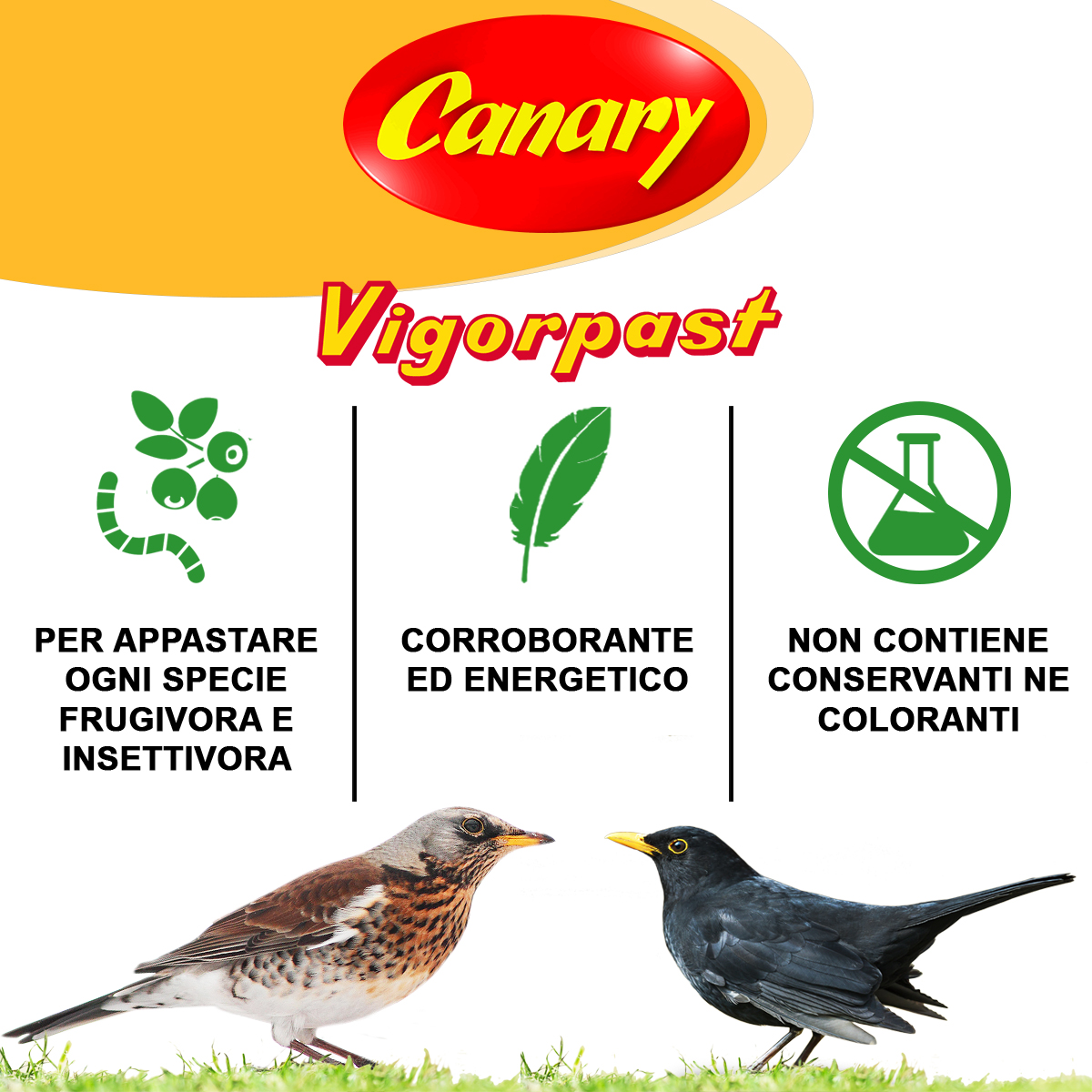 VIGORPAST - immagine 5