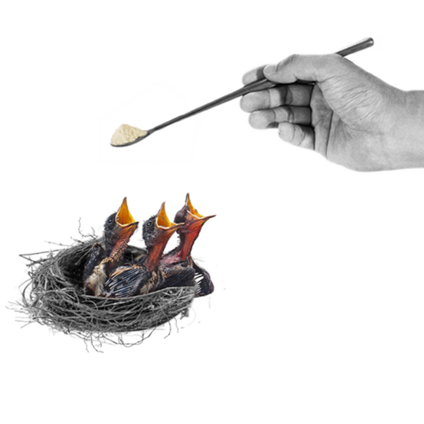 Pastoncini da Imbecco